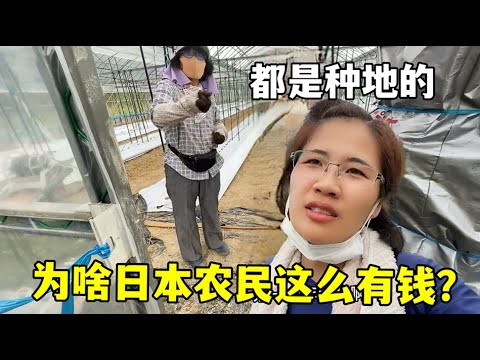 揭秘,阿布转让切,尔西背后,米兰体育,米兰体育官网,米兰体育H5官网